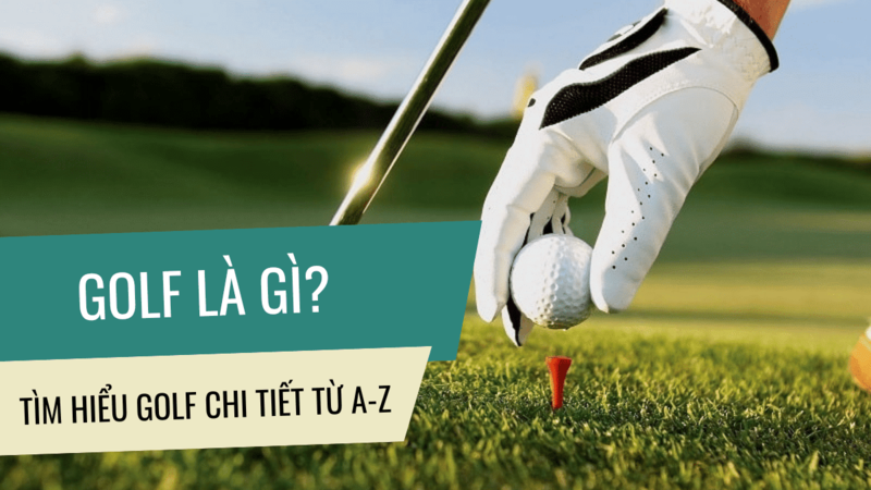 Golf là môn dùng gậy đánh bóng vào lỗ với số cú đánh càng ít càng tốt. 