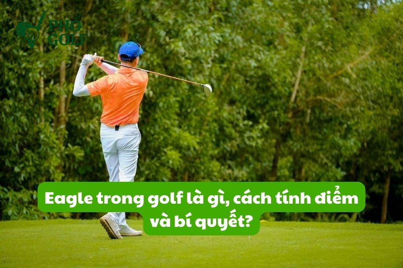 Par, birdie, eagle và bogey là các thuật ngữ cơ bản giúp người chơi hiểu cách tính điểm trong golf. 